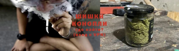 МДПВ Карпинск
