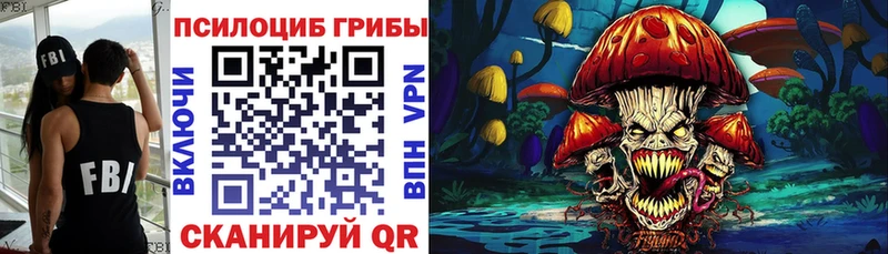 Купить закладки  Северобайкальск  Псилоцибиновые грибы MAGIC MUSHROOMS 